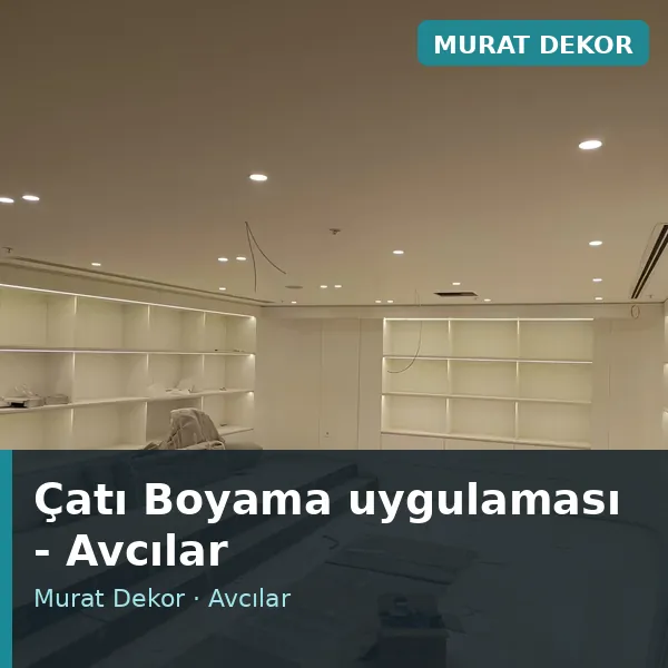 Çatı Boyama uygulama örneği, Avcılar bölgesi