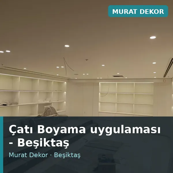 Çatı Boyama uygulama örneği, Beşiktaş bölgesi