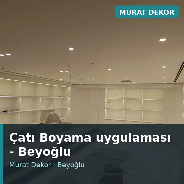 Çatı Boyama uygulama örneği, Beyoğlu bölgesi Çatı Boyama uygulama örneği, Beyoğlu bölgesi