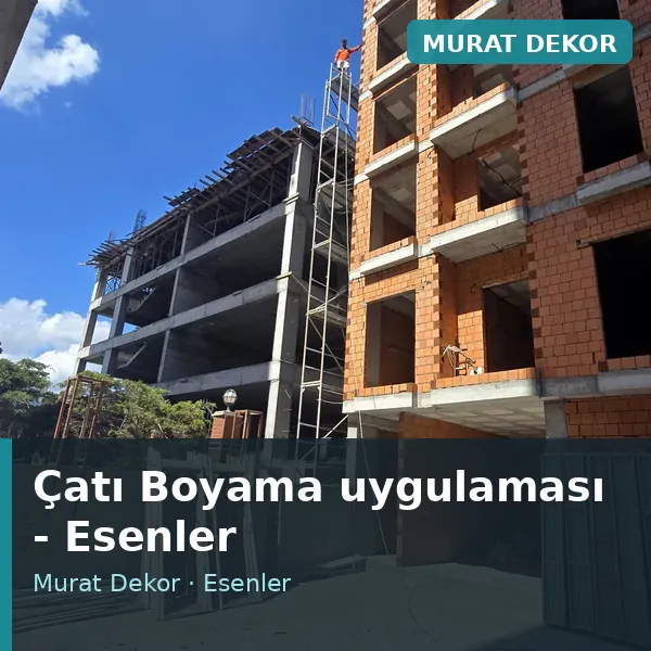 Çatı Boyama uygulama örneği, Esenler bölgesi Çatı Boyama uygulama örneği, Esenler bölgesi