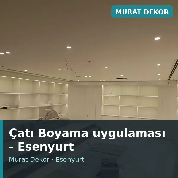 Çatı Boyama uygulama örneği, Esenyurt bölgesi