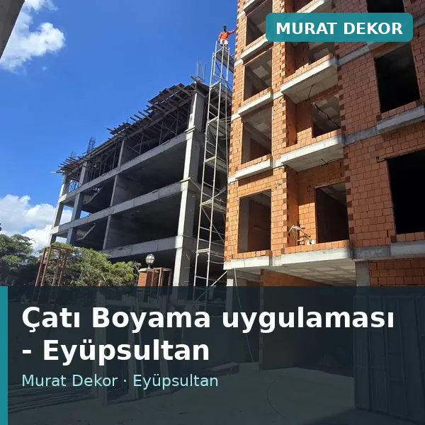 Çatı Boyama uygulama örneği, Eyüpsultan bölgesi Çatı Boyama uygulama örneği, Eyüpsultan bölgesi