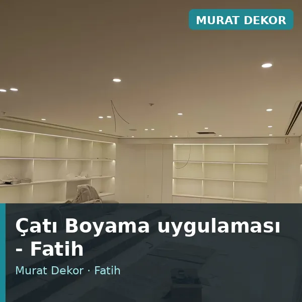Çatı Boyama uygulama örneği, Fatih bölgesi
