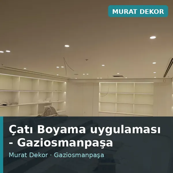 Çatı Boyama uygulama örneği, Gaziosmanpaşa bölgesi