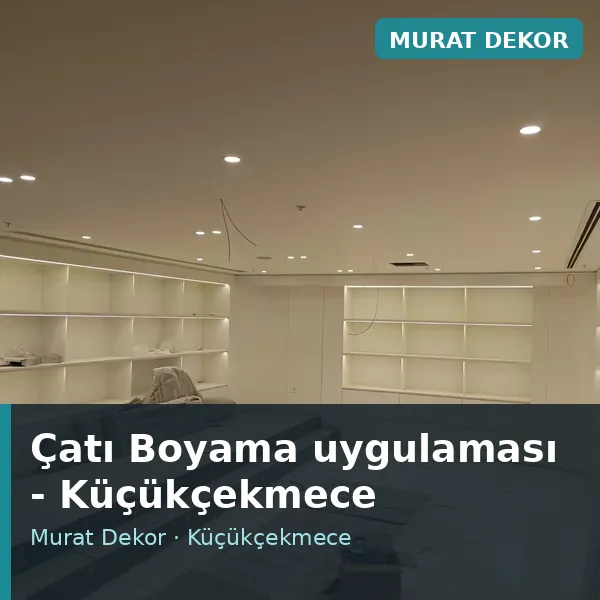 Çatı Boyama uygulama örneği, Küçükçekmece bölgesi Çatı Boyama uygulama örneği, Küçükçekmece bölgesi