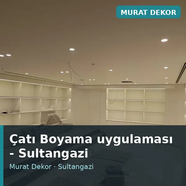 Çatı Boyama uygulama örneği, Sultangazi bölgesi